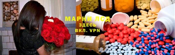 винт Алзамай