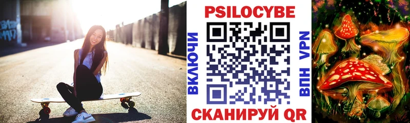 mega рабочий сайт Черноголовка Галлюциногенные грибы Cubensis где купить наркотик