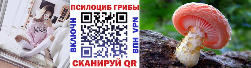 Галлюциногенные грибы MAGIC MUSHROOMS Черноголовка